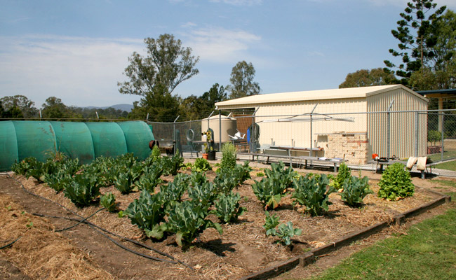 kilcoy state high school